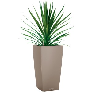 Lechuza Cubico Color virágtartó, 56 cm magas, homokbarna, zöld növénnyel.