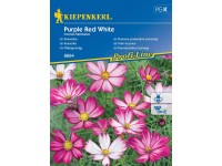 Kiepenkerl vetőmag pillangóvirág Purple Red White