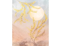 Komar vlies tapéta Sol 200 cm x 250 cm