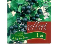 Gyökércsomagolt josta bogyós gyümölcsű növény