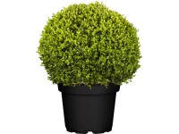 GROW by OBI GROW by OBI