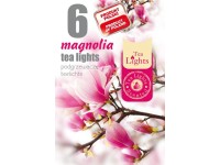Teamécses illatos magnólia vanília 6 db-os