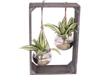 Sárkányfa kompozíció üveggömbben cserépátmérő: kb. 19 cm Sárkányfa kompozíció üveggömbben cserépátmérő: kb. 19 cm