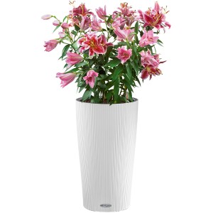 Fehér Lechuza Cilindro Color virágtartó (Ø 23 cm) rózsaszín liliomokkal.