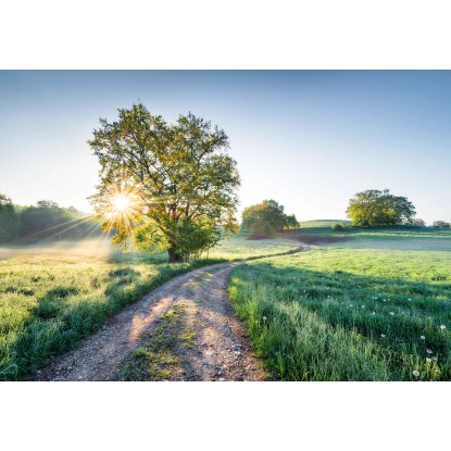 Komar tapéta Meadow Trail 368 cm x 254 cm