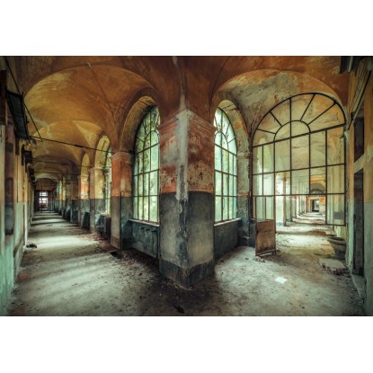 Komar nemszőtt fotótapéta Casa della Follia 400 cm x 260 cm