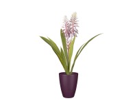 Mica művirág aloe vera cserépben 43 cm x átmérő 30,5 cm ibolyakék