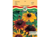 Kúpvirág aranysárga vetőmag