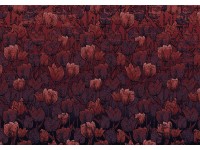 Komar vlies fotótapéta Tulipe 400 cm x 280 cm