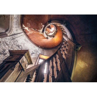 Komar vlies fotótapéta Oak Spiral 400 cm x 280 cm