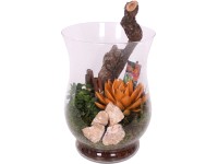 Pozsgás növények őszi kompozíciója üvegvázában cserépátmérő: kb. 15 cm