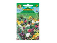 Egynyári szárazvirág célú diszfü csoport