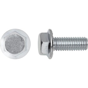 SW10 Hatlapfejű karimás csavar fehér horganyzott M6 x 12 mm 8 db