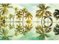Komar vlies fotótapéta Key West 400 cm x 250 cm