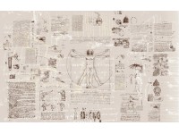 Komar fotótapéta gyapjú Da Vinci 400 cm x 250 cm