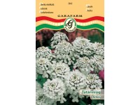 Tatárvirág fehér vetőmag