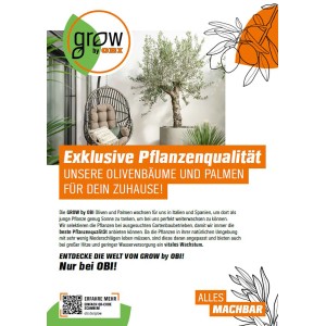 GROW by OBI Pálma mix, különböző pálmafajták cserépben, magasság 60-80 cm.