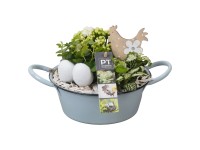 Növényekkel beültetett húsvéti cinktál cserépátmérő kb. 19 cm
