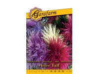 Őszirózsa Tűszirmú Szk vetőmag