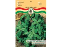 Bazsalikom magas vetőmag Bazsalikom magas vetőmag