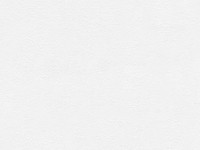 A.S. Creation fátyoltapéta Avanti Uni fehér FSC®