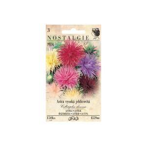 Nostalgie Aster Mix magok, különböző színekben.