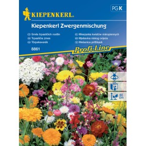 Kiepenkerl Törpe keverék: Magok alacsony, színes virágkeverékhez.