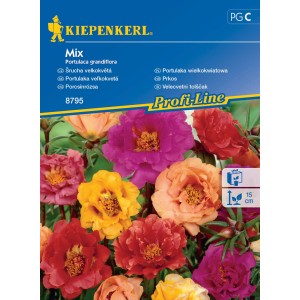 Kiepenkerl Portulaca grandiflora Mix, színes virágok a kertjébe.