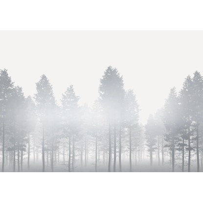 Komar vlies fotótapéta Silver Haze 400 cm x 280 cm