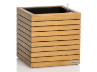 Lechuza Palo Low kockakaspó 46 cm x 44 cm x 44 cm eukaliptuszfa FSC®