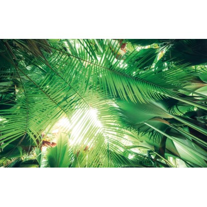 Vlies fotótapéta Dschungeldach 450 cm x 280 cm