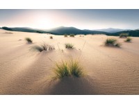 Vlies fotótapéta Vivid Dunes 450 cm x 280 cm