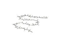 Konstsmide Compactlight mikro LED fényforrás 600 dióda fagyhatású kültérre fehér Konstsmide Compactlight mikro LED fényforrás 600 dióda fagyhatású kültérre fehér