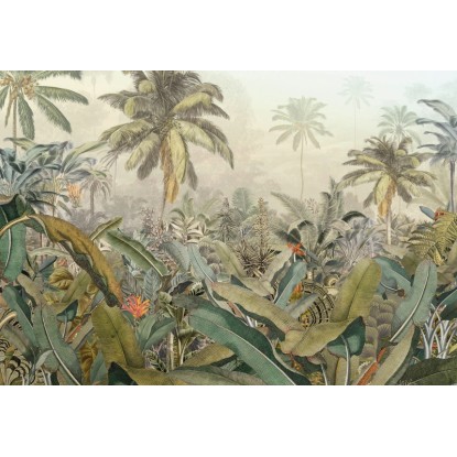 Komar nemszőtt fotótapéta Amazonia 368 cm x 248 cm