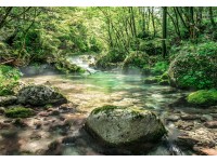 Komar tapéta Riverbed 368 cm x 254 cm Komar tapéta Riverbed 368 cm x 254 cm