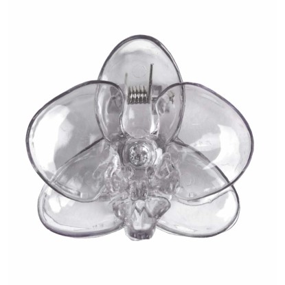 Orchidea csipesz pillangó mix