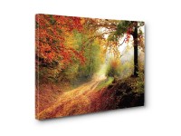 Canvas falikép 50 cm x 70 cm táj Canvas falikép 50 cm x 70 cm táj