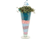 Üvegcsalán üvegvázában cserépátmérő: kb. 11 cm Pilea Üvegcsalán üvegvázában cserépátmérő: kb. 11 cm Pilea