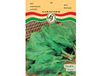 Sóska nagylevelű vetőmag Sóska nagylevelű vetőmag