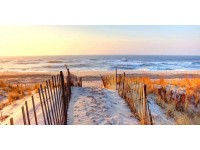 Vászonkép 60 cm x 120 cm természet Vászonkép 60 cm x 120 cm természet