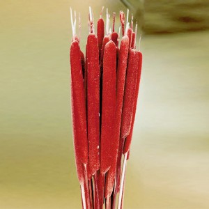 3 piros gyékény (Typha large) kézműveskedéshez és virágkötészethez.