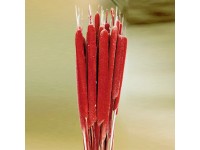 Typha gyékény 50 cm 3 db piros Typha gyékény 50 cm 3 db piros