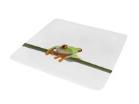 Kleine Wolke Charlie zuhanyszőnyeg zöld 55 cm x 55 cm