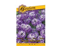 Illatosternye lila vetőmag