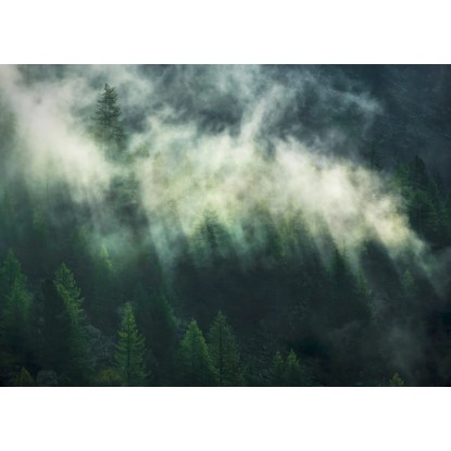 Komar vlies fotótapéta Misty Crowns 350 cm x 250 cm