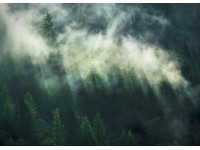 Komar vlies fotótapéta Misty Crowns 350 cm x 250 cm