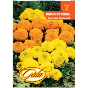 Mag csomag sárga és narancssárga bársonyvirággal (Tagetes) a kertbe.