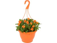 Árvácskás függő virágtartó különböző színekben magassága kb. 20-30 cm cserépátmé