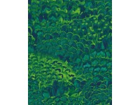 Komar vlies fotótapéta Feathers 200 cm x 250 cm