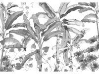 Komar vlies fotótapéta Croissances Monochrome 400 cm x 280 cm